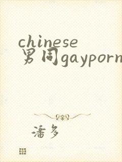 chinese男同gayporn