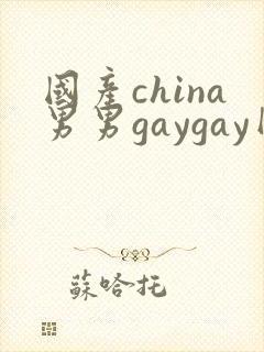 国产china男男gaygay网站封面