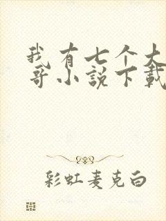 我有七个大佬哥哥小说下载txt封面