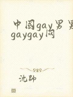 中国gay男男gaygay网封面