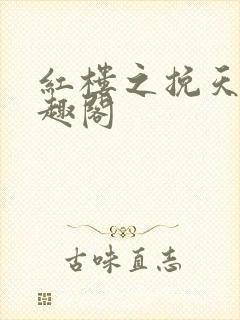 红楼之挽天倾笔趣阁