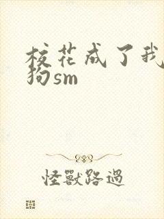 校花成了我的母狗sm