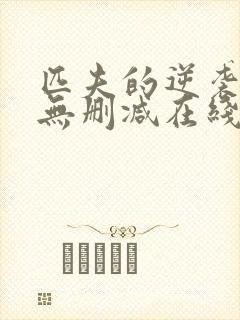 匹夫的逆袭小说无删减在线阅读