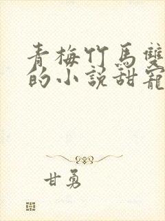 青梅竹马双学霸的小说甜宠文