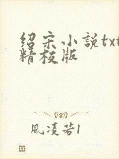 绍宋小说txt精校版