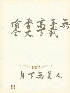 偷香高手无删减全文下载