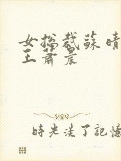 女总裁苏晴与兵王萧晨封面