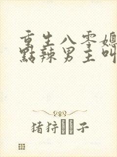 重生八零媳妇有点辣男主叫什么