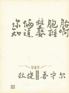 你俩双胞胎我哪知道娶谁啊小说免费阅读