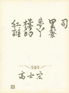 红楼梦里司棋是谁的丫鬟封面