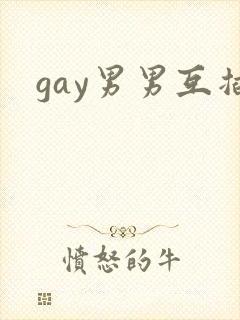 gay男男互插