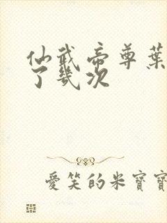 仙武帝尊叶辰死了几次