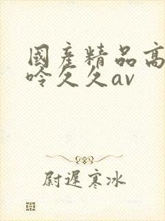 国产精品高潮呻呤久久av