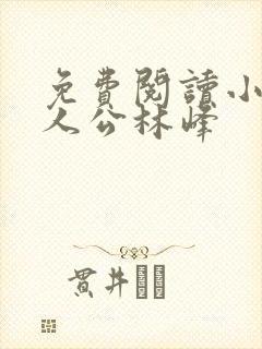 免费阅读小说主人公林峰