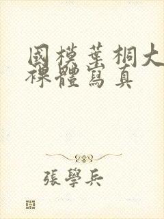 国模叶桐大尺度裸体写真