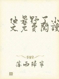 他最野了小说全文免费阅读