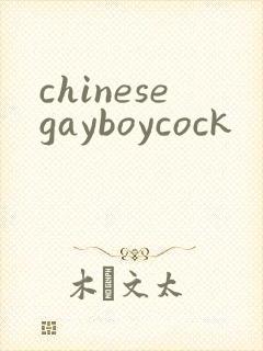chinesegayboycock封面
