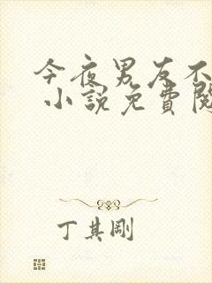 今夜男友不在家 小说免费阅读全文封面