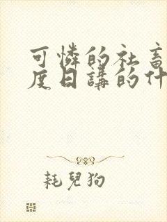 可怜的社畜 东度日讲的什么