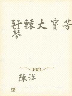 轩辕大宝芳菲雅琴