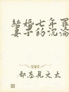结婚七年罪与泪妻子的沉沦路结局封面