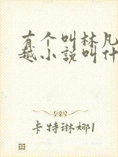 有个叫林凡的穿越小说叫什么名字封面