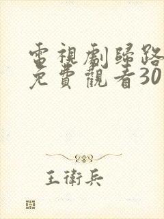 电视剧归路全集免费观看30集高清