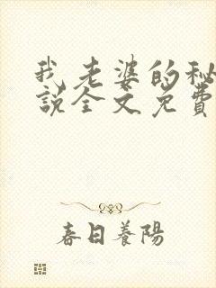 我老婆的秘密小说全文免费阅读