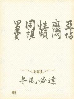 男同性恋亚洲免费视频网站