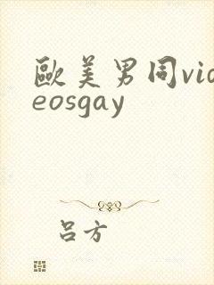欧美男同videosgay