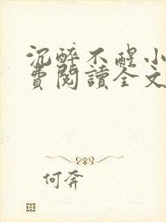 沉醉不醒小说免费阅读全文无弹窗封面