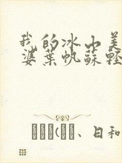 我的冰山美女老婆叶帆苏轻雪封面
