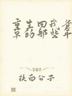 重生回我爸当校草的那些年封面