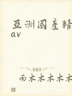 亚洲国产精品精av