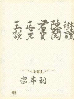 王正君陈琳洁小说免费阅读