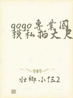 gogo专业国模私拍大尺度