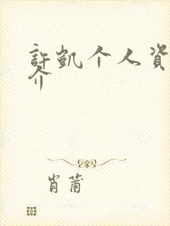 许凯个人资料简介封面