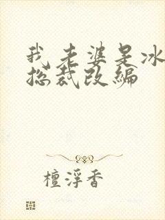 我老婆是冰山女总裁改编