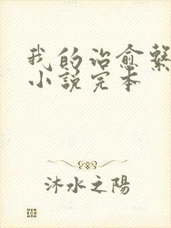 我的治愈系游戏小说完本