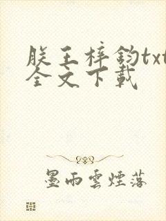 朕王梓钧txt全文下载