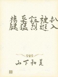 杨采钰被扒开双腿猛烈进入小说封面