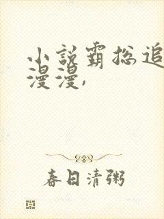 小说霸总追妻路漫漫,