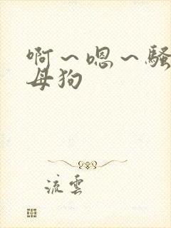 啊～嗯～骚货～母狗封面