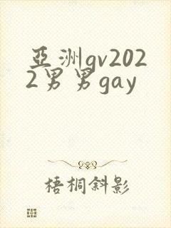 亚洲gv2022男男gay