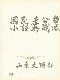 国民老公带回家小说无删减