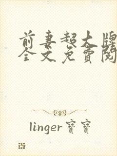 前妻超大牌小说全文免费阅读txt完结版