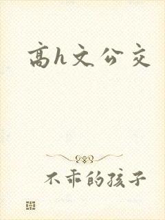 高h文公交
