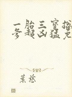 一胎三宝总裁爹爹超凶猛免费阅读