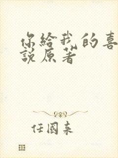 你给我的喜欢小说原著