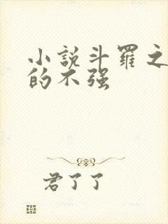 小说斗罗之我真的不强